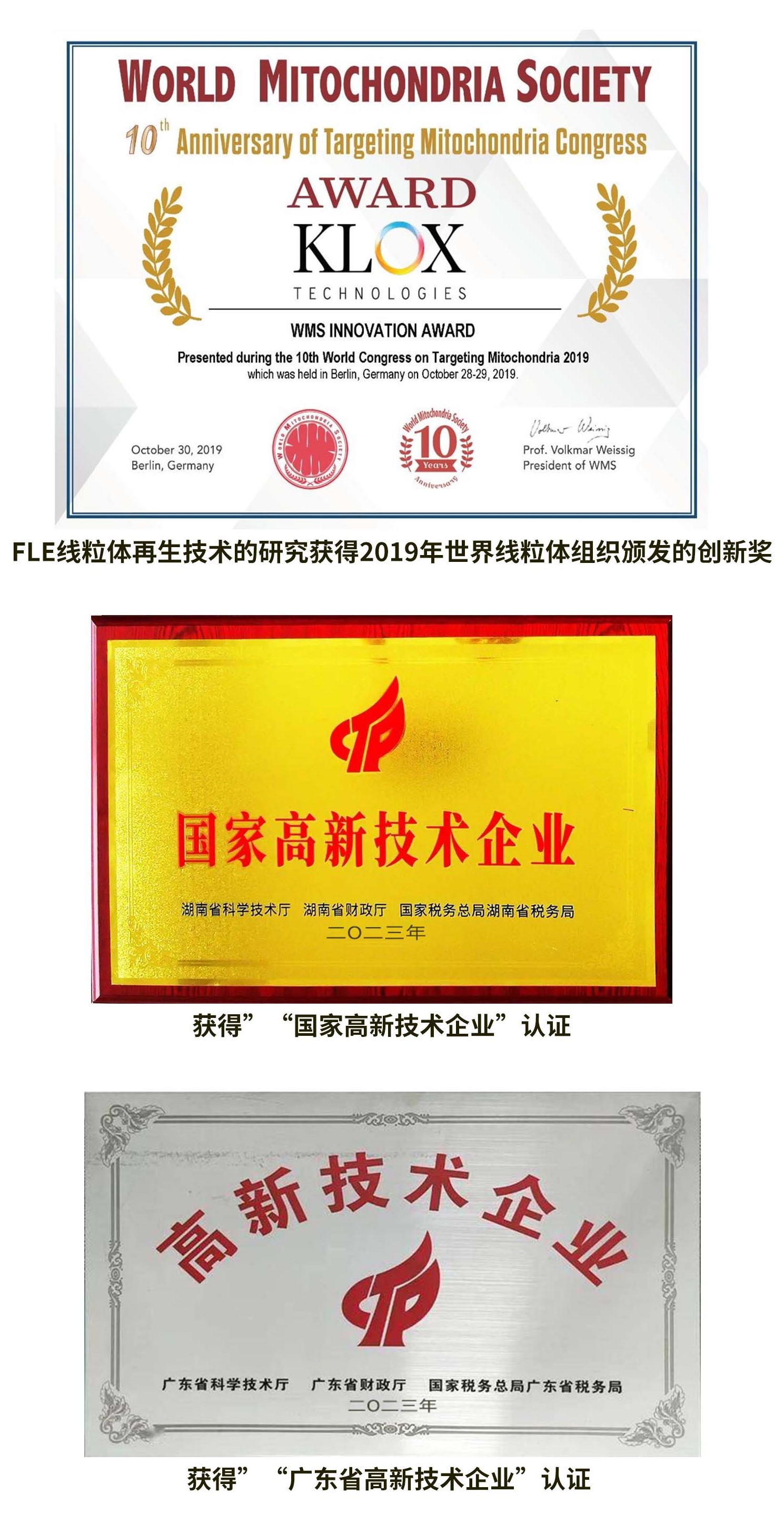 FLE線粒體再生技術(shù)的研究獲得2019年世界線粒體組織頒發(fā)的創(chuàng)新獎